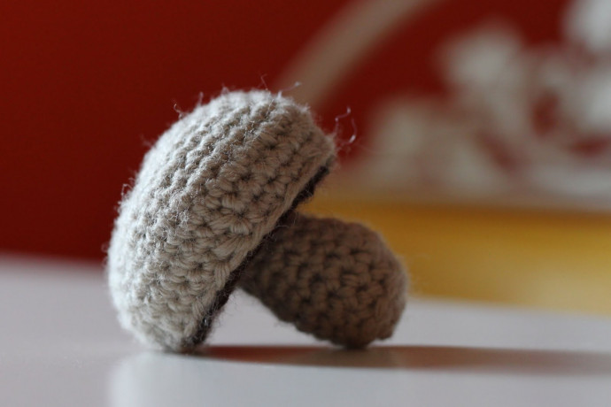 Create Adorable Crocheted Mushrooms – A Fun and Whimsical Crafting Project Create Adorable Crocheted Mushrooms – A Fun and Whimsical Crafting Project