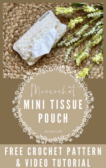 Quick and Easy Mini Tissue Pouch Crochet Project for Beginners Quick and Easy Mini Tissue Pouch Crochet Project for Beginners