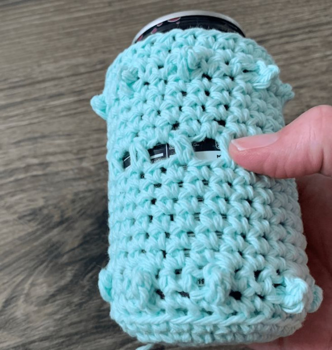 Crochet Can Cozy